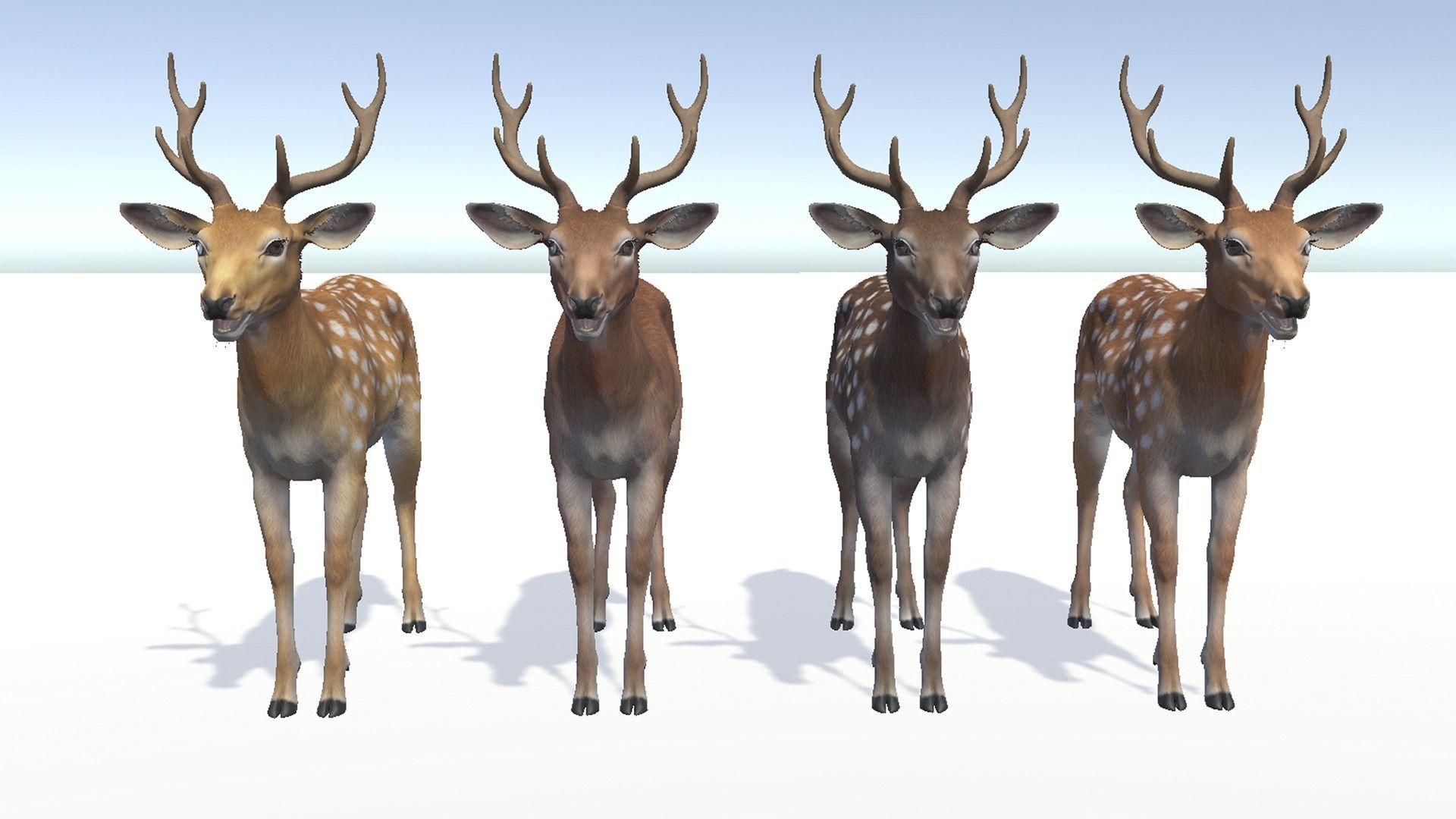 DEER FAMILY Low-poly 3D model_11