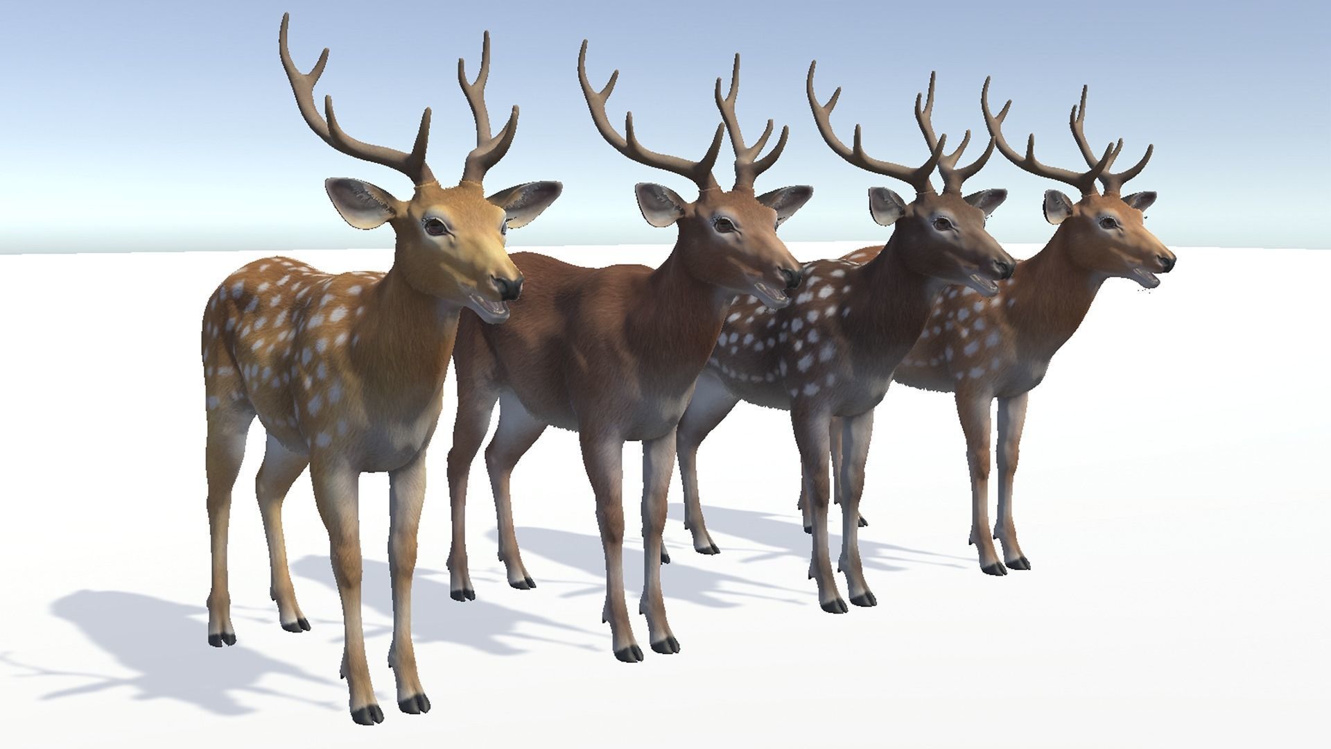 DEER FAMILY Low-poly 3D model_12