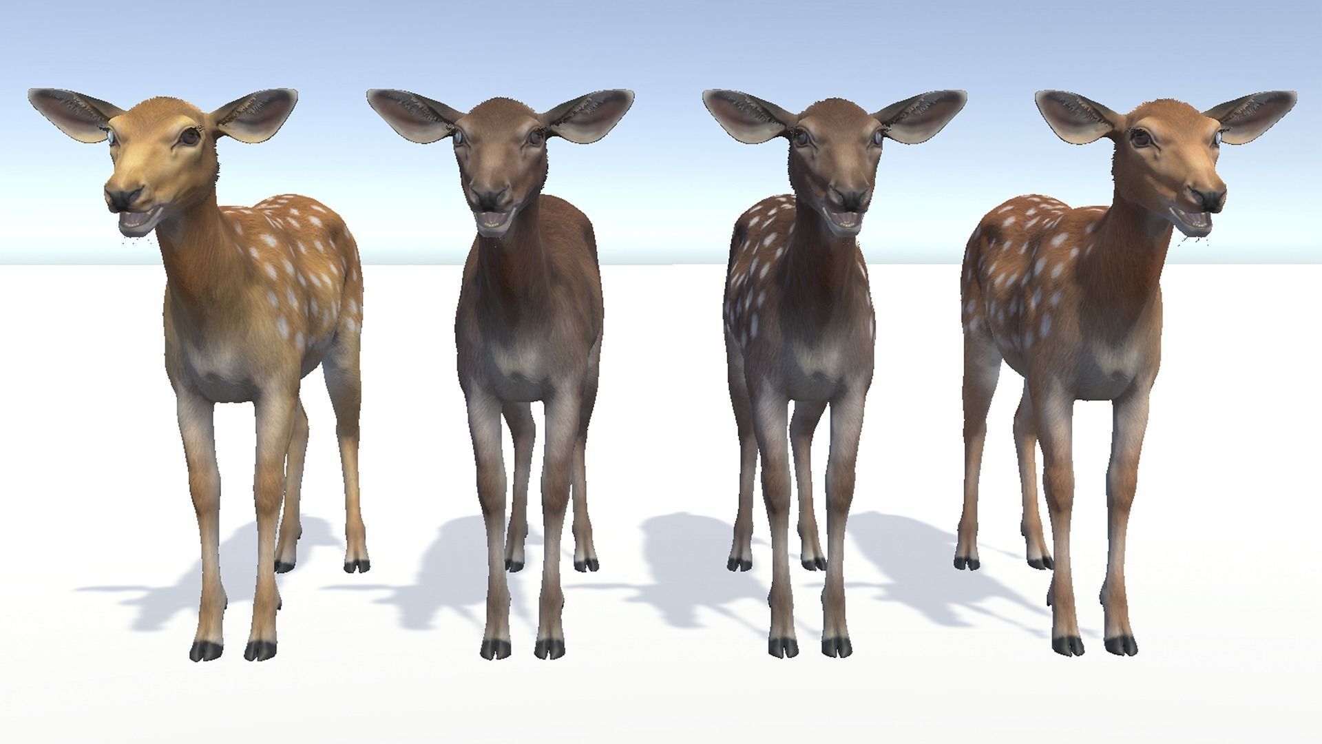 DEER FAMILY Low-poly 3D model_19