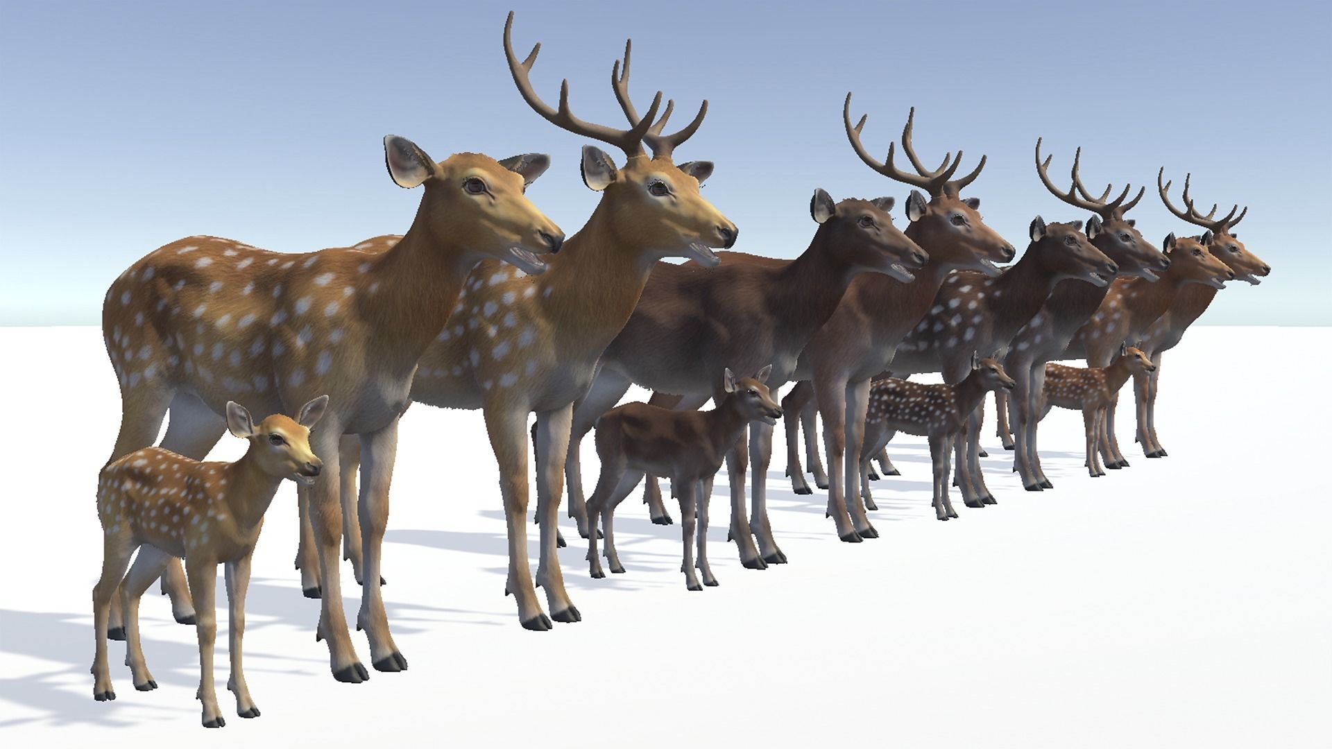 DEER FAMILY Low-poly 3D model_7