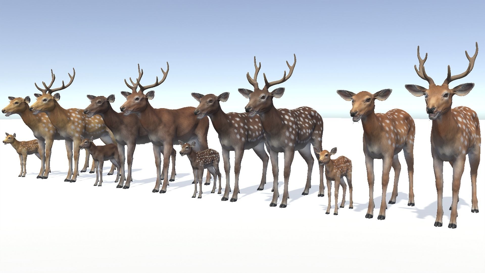 DEER FAMILY Low-poly 3D model_4