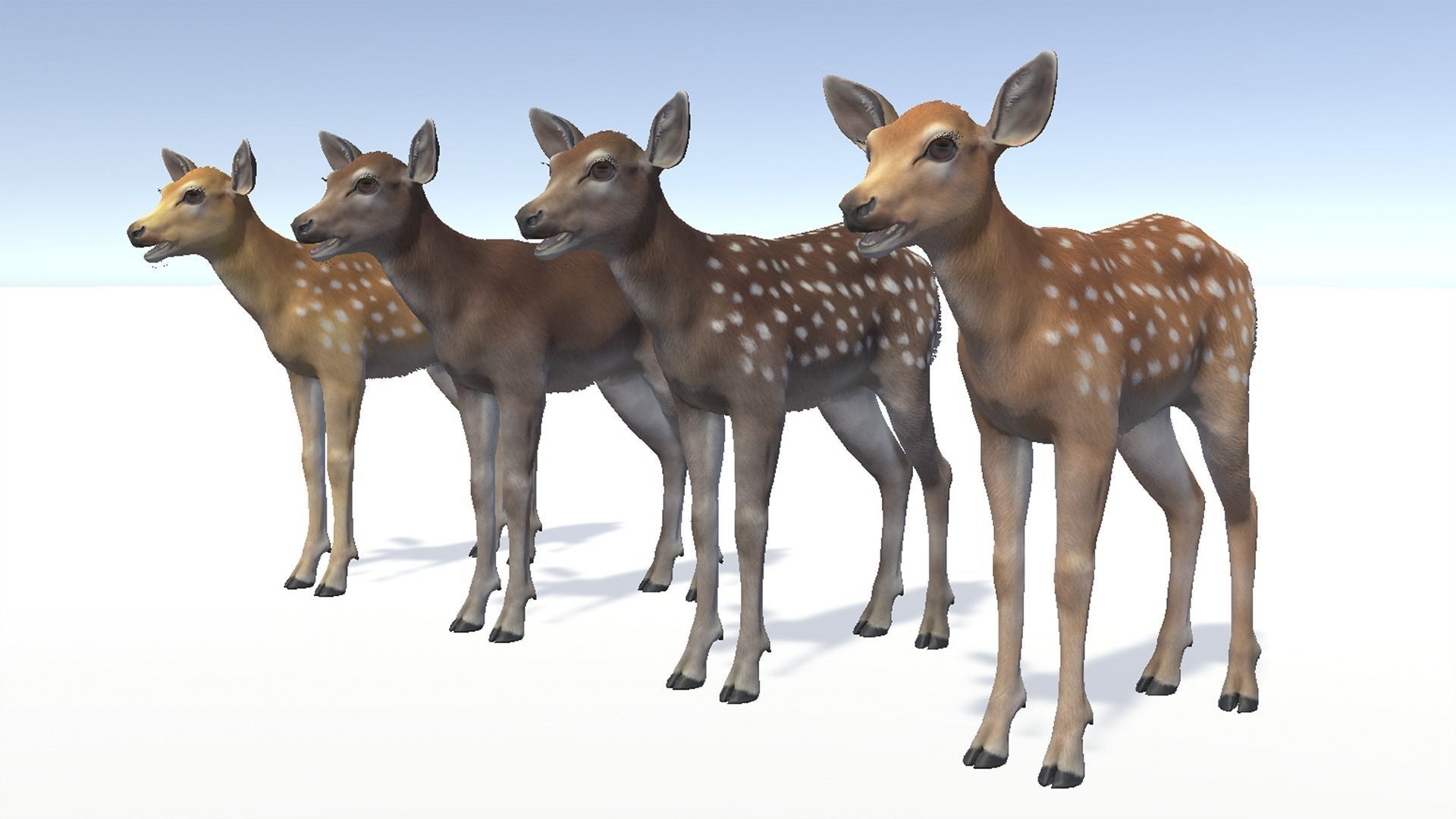 DEER FAMILY Low-poly 3D model_26
