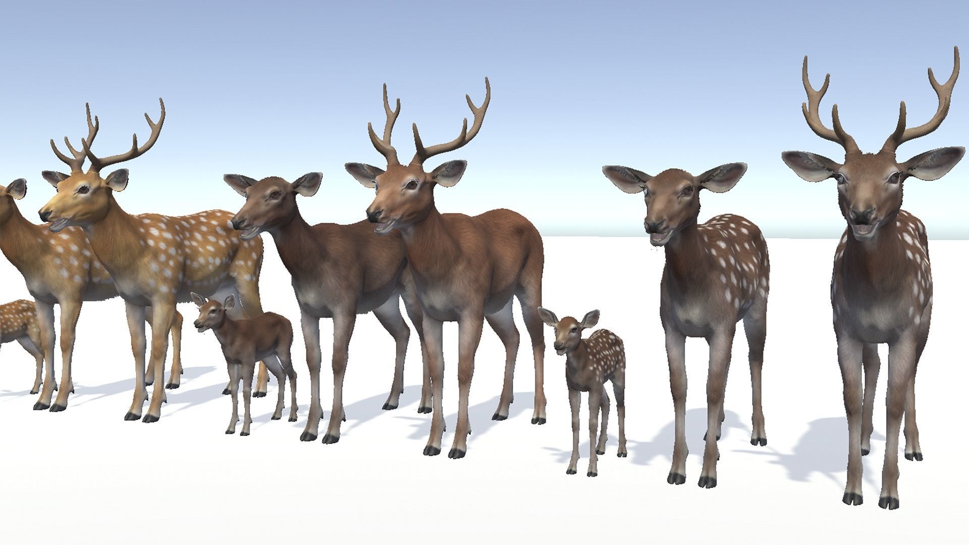 DEER FAMILY Low-poly 3D model_5