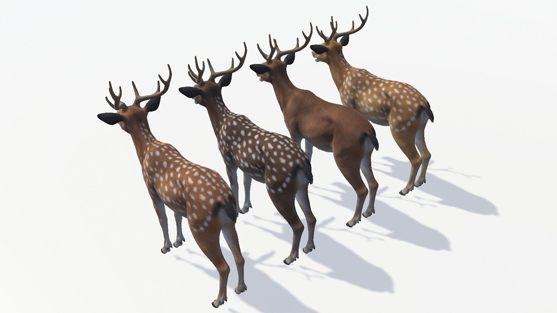 DEER FAMILY Low-poly 3D model_14