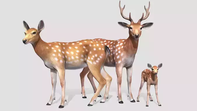 DEER FAMILY Low-poly 3D model