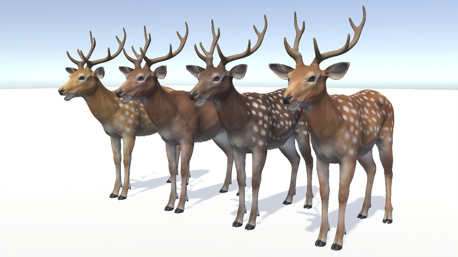 DEER FAMILY Low-poly 3D model_10