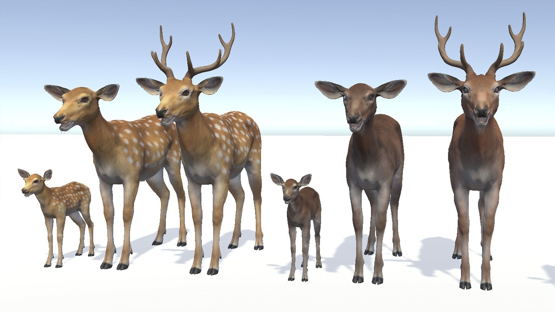 DEER FAMILY Low-poly 3D model_6
