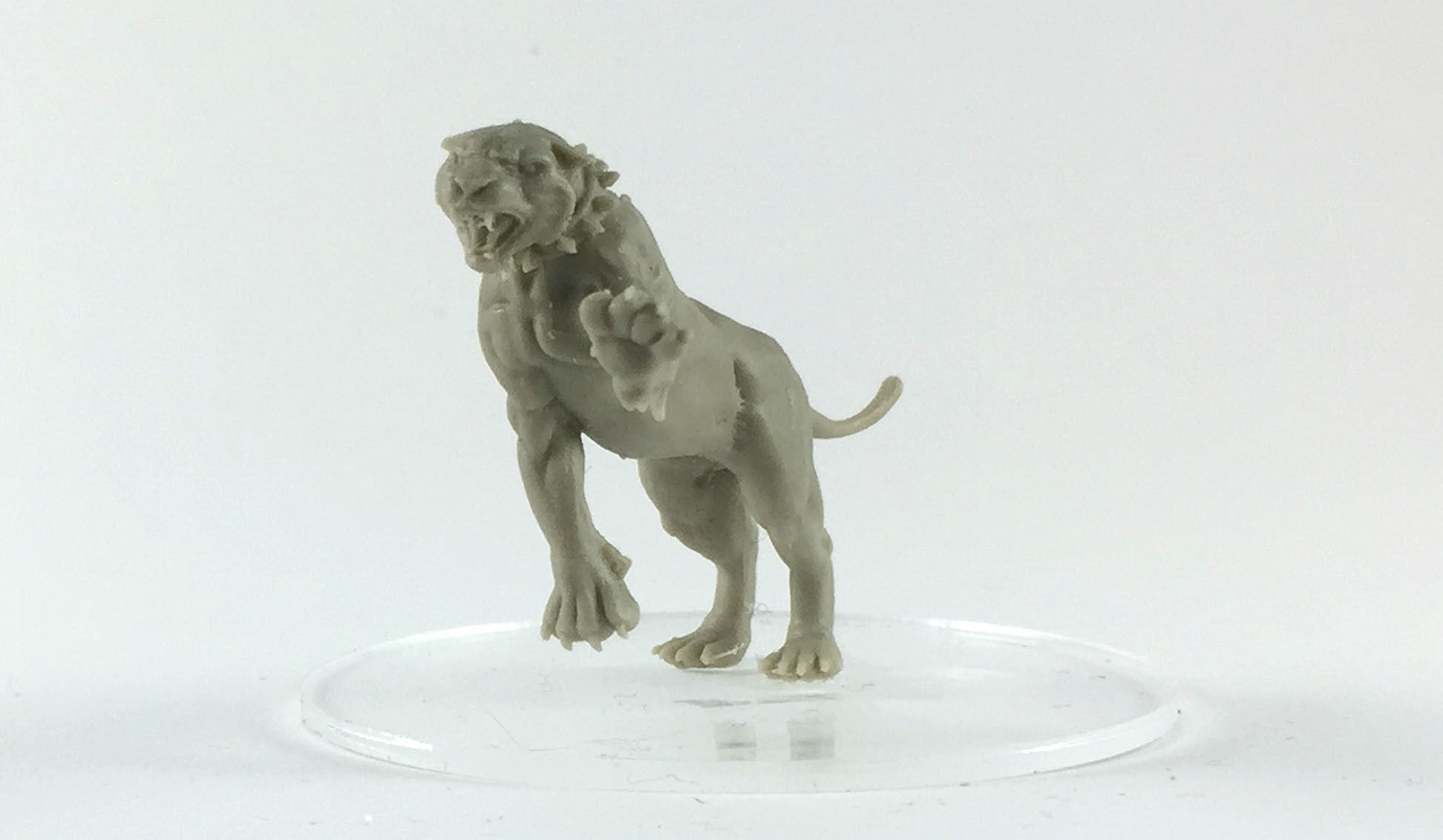tiger and lion 3D 35mm scale 3D print model_4