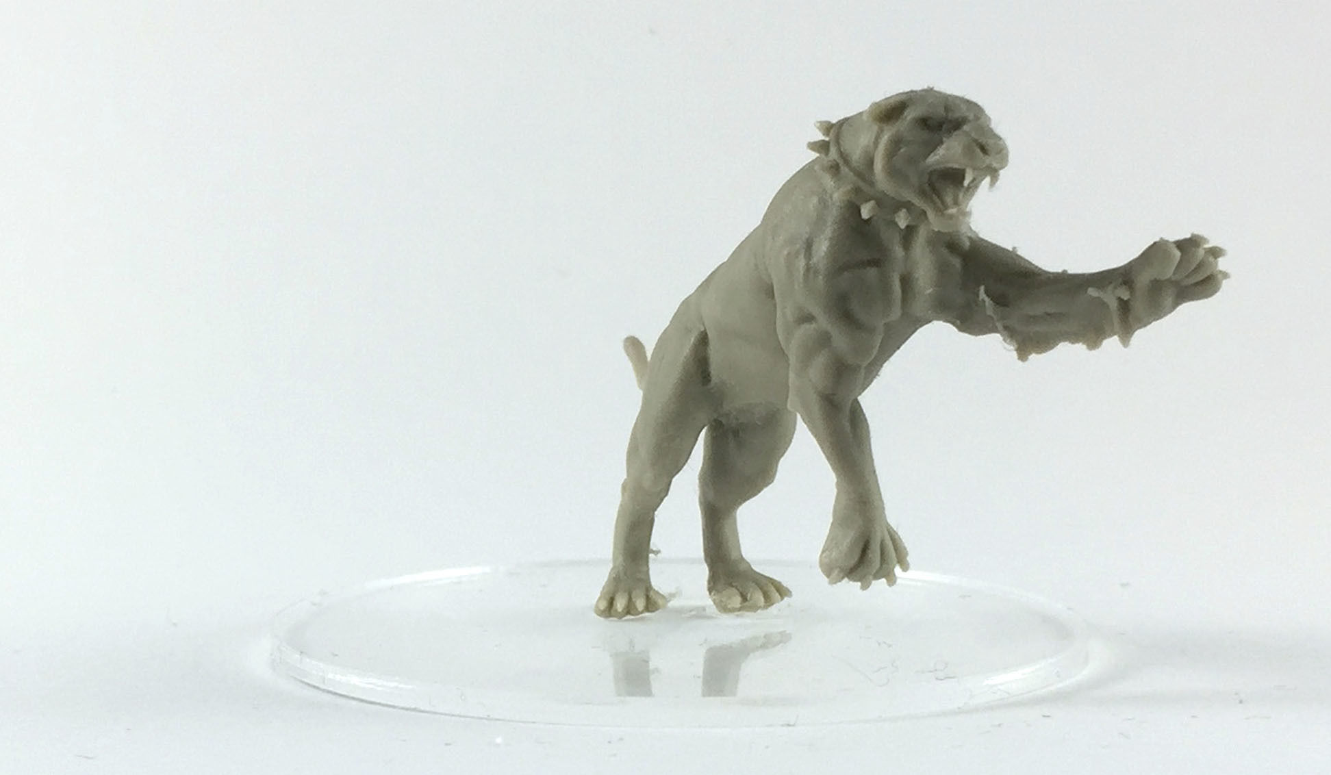 tiger and lion 3D 35mm scale 3D print model_5
