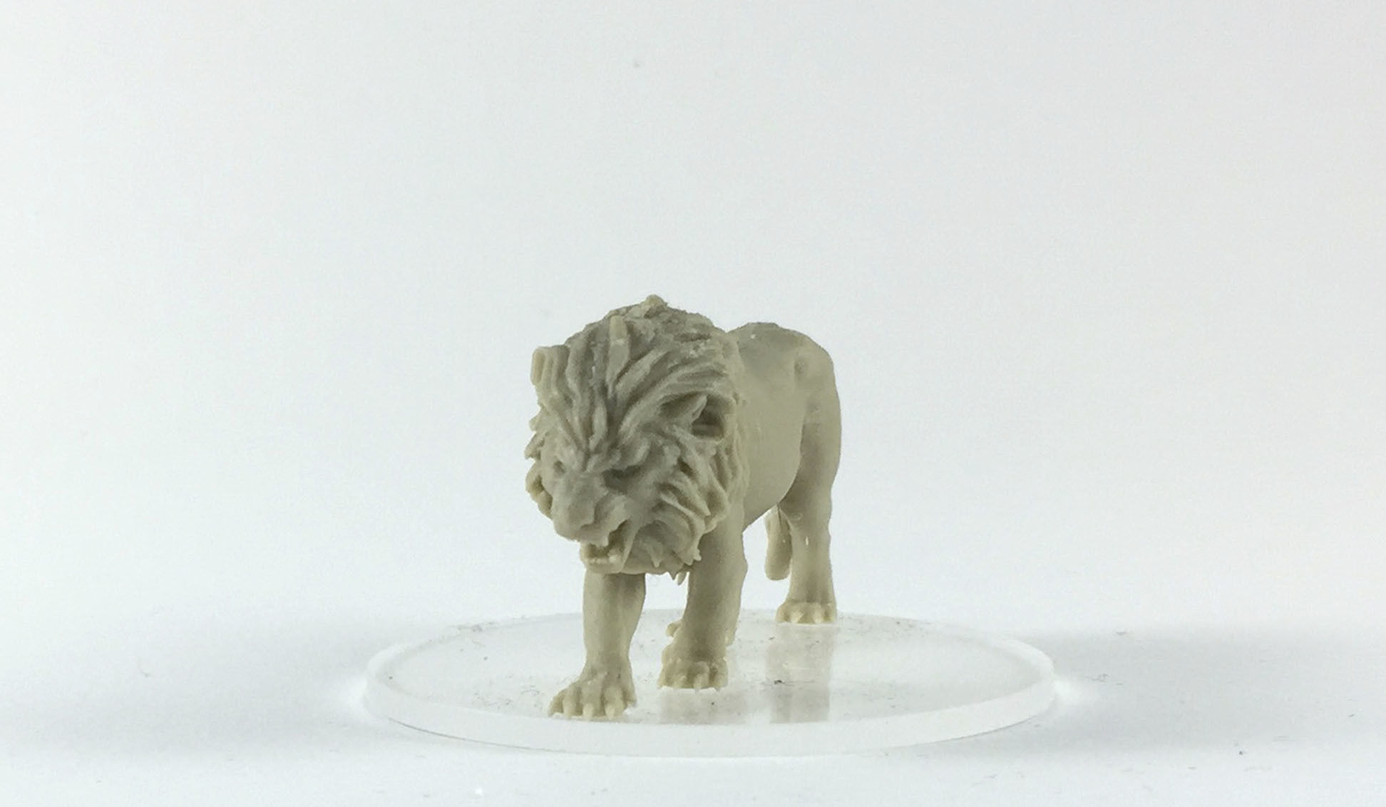 tiger and lion 3D 35mm scale 3D print model_3