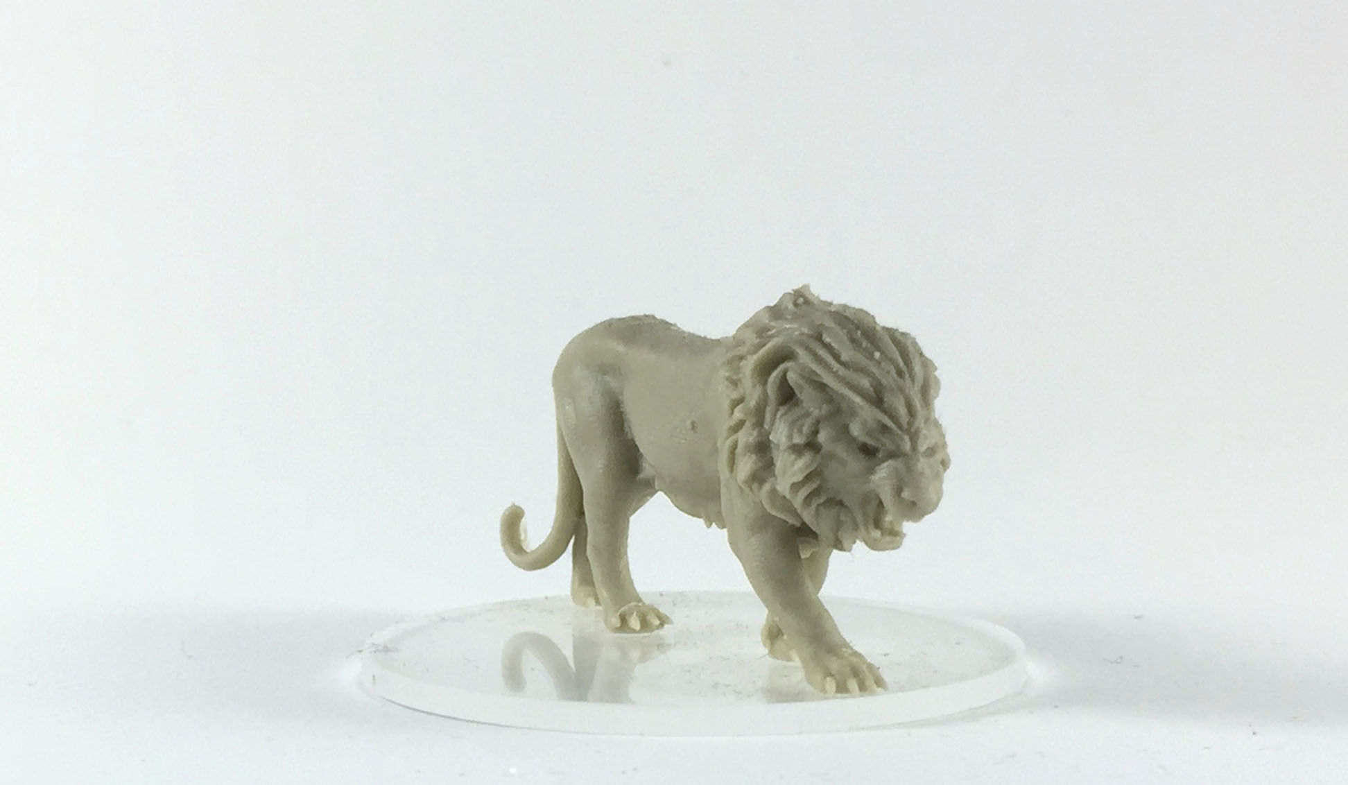 tiger and lion 3D 35mm scale 3D print model_2