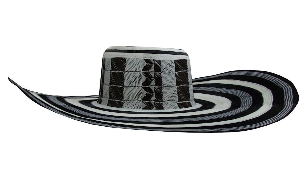 Traditional colombian vueltiao hat 3D model_2
