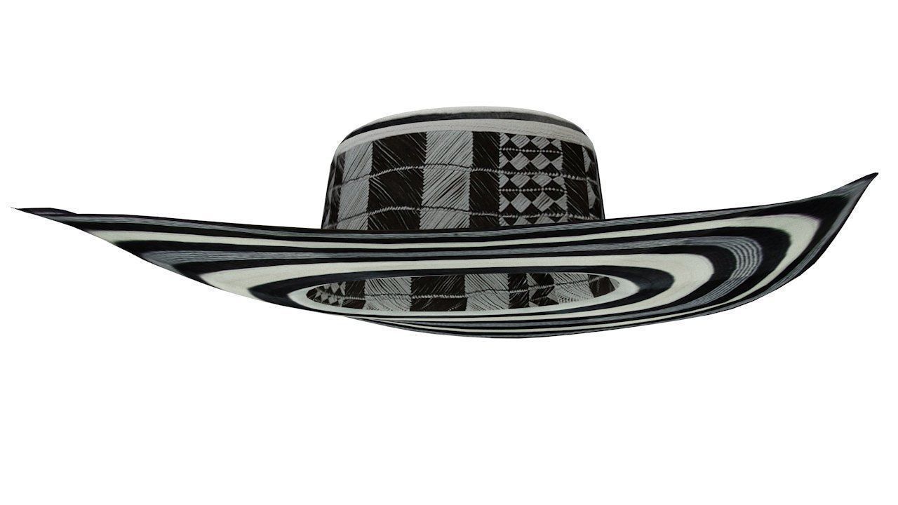 Traditional colombian vueltiao hat 3D model_6