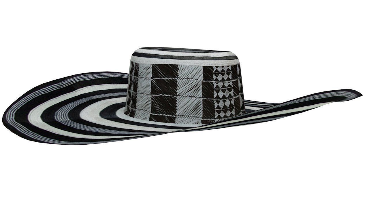 Traditional colombian vueltiao hat 3D model_5