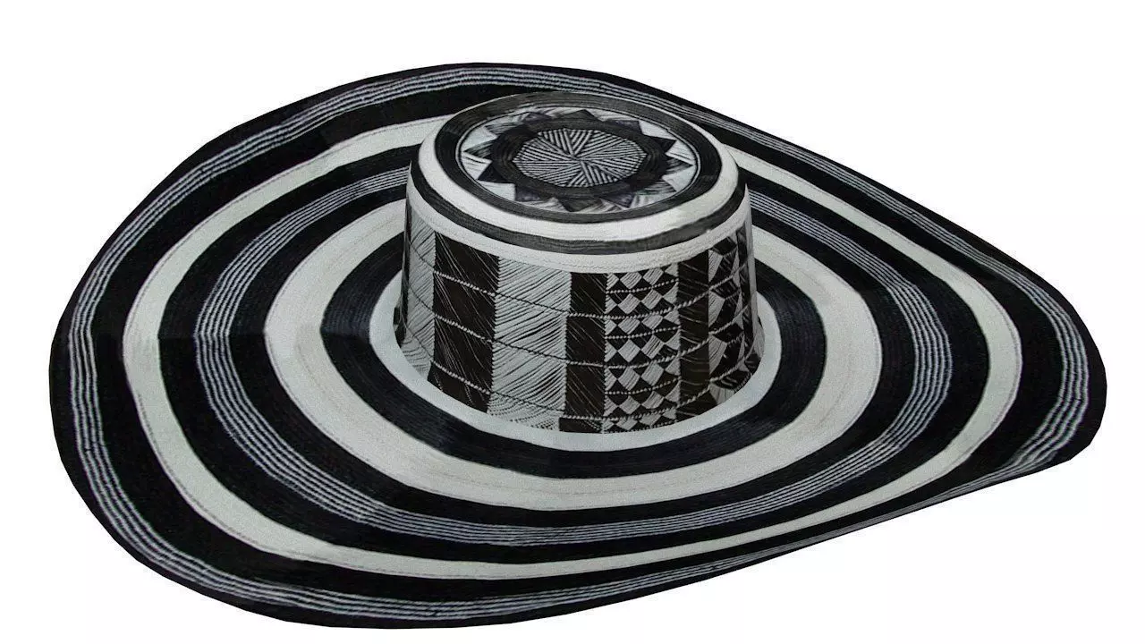 Traditional colombian vueltiao hat 3D model_0