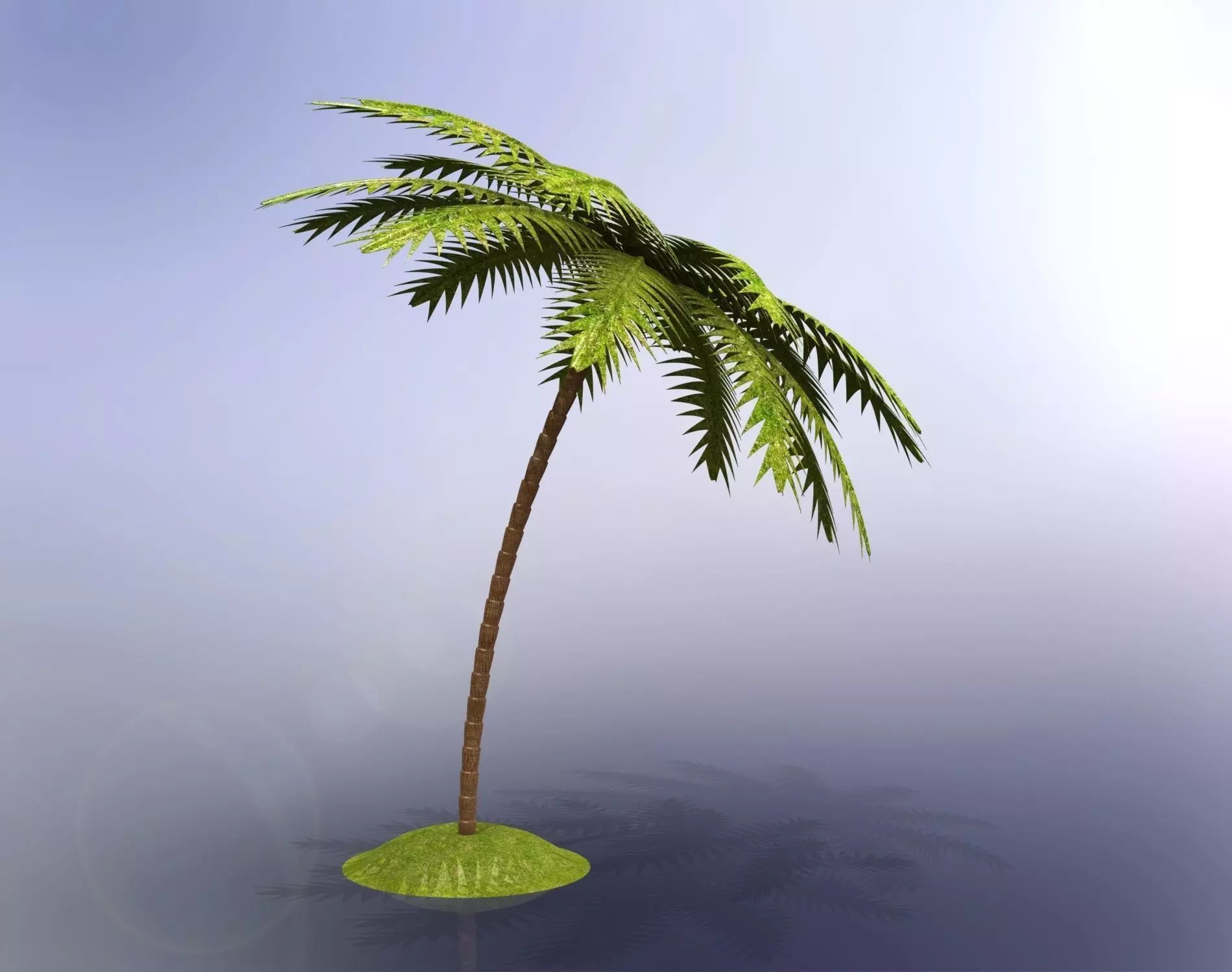 Palm tree Free 3D model