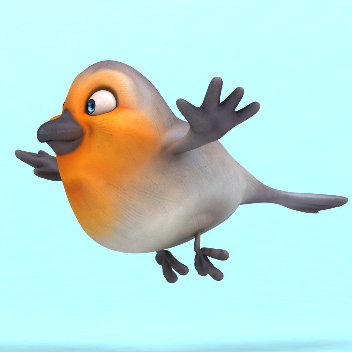 Fun Red Robin 3D model_3