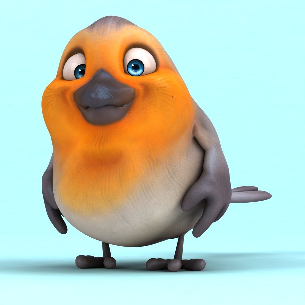 Fun Red Robin 3D model_10