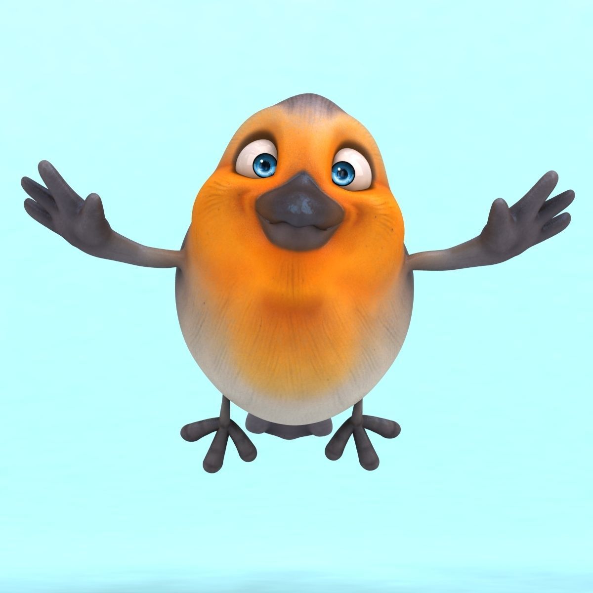 Fun Red Robin 3D model_4