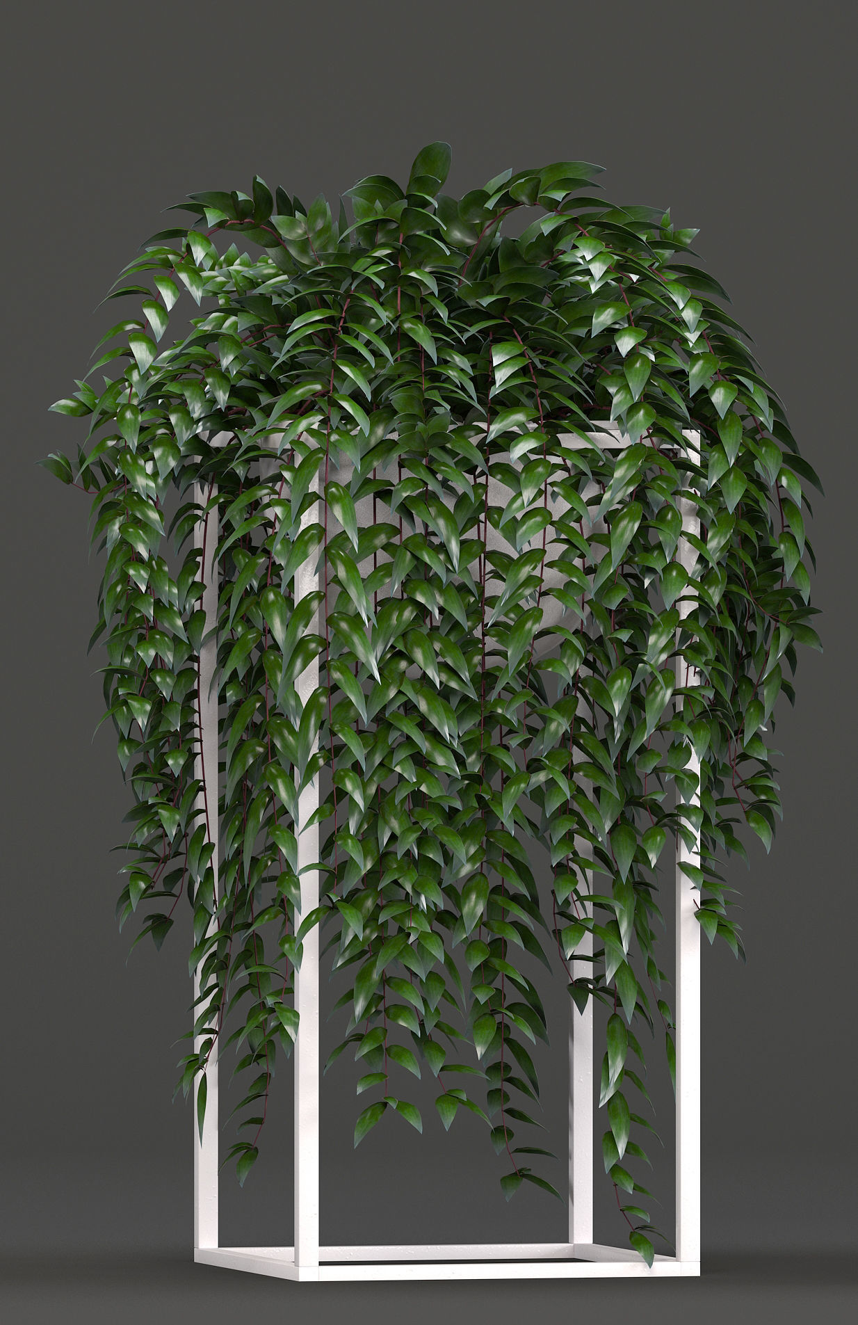 Collection Exotic plants 3D model_2