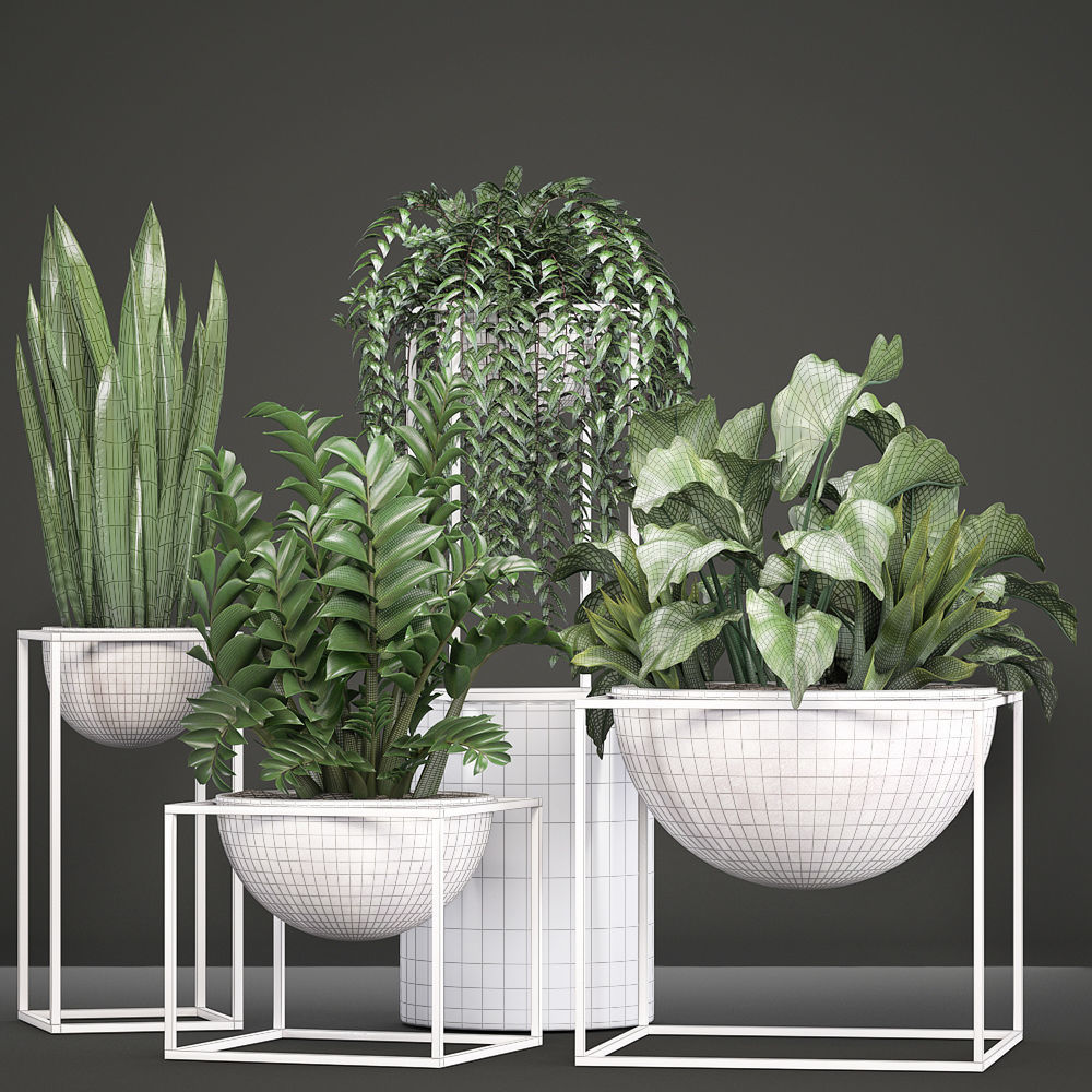 Collection Exotic plants 3D model_5