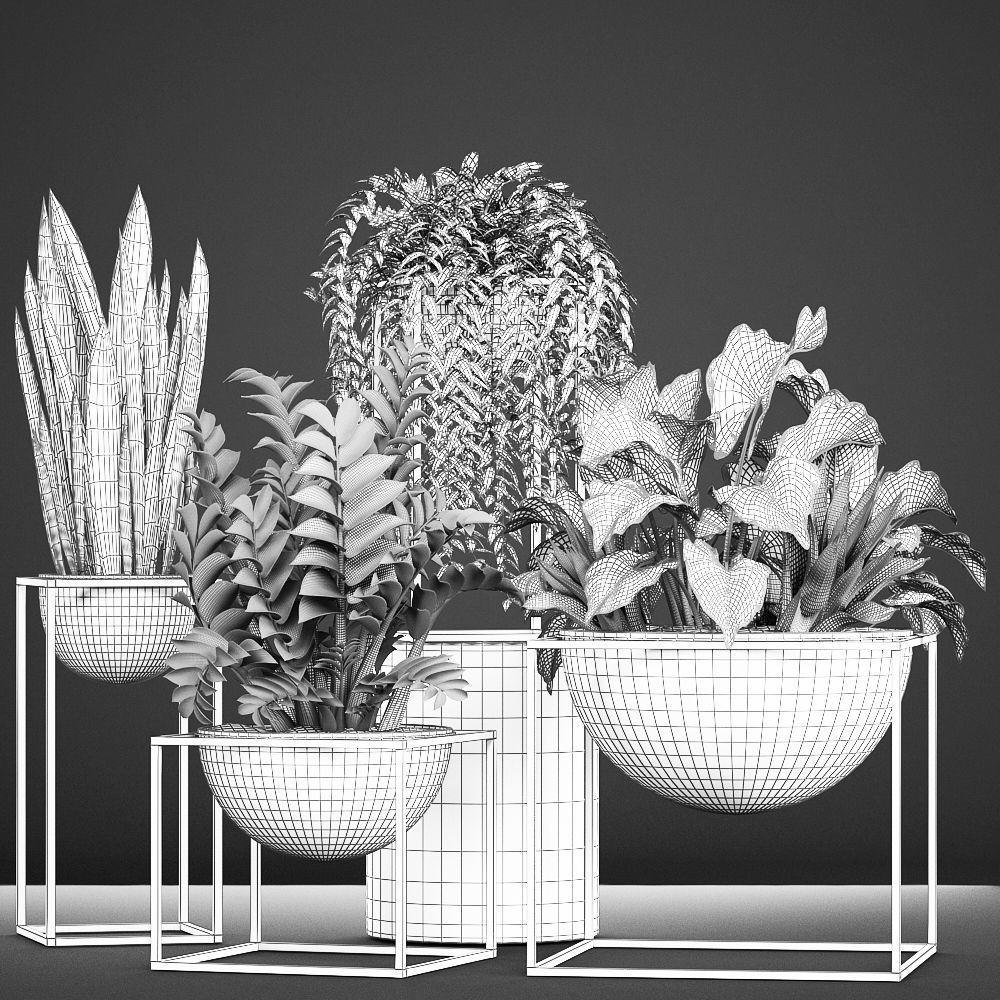 Collection Exotic plants 3D model_6