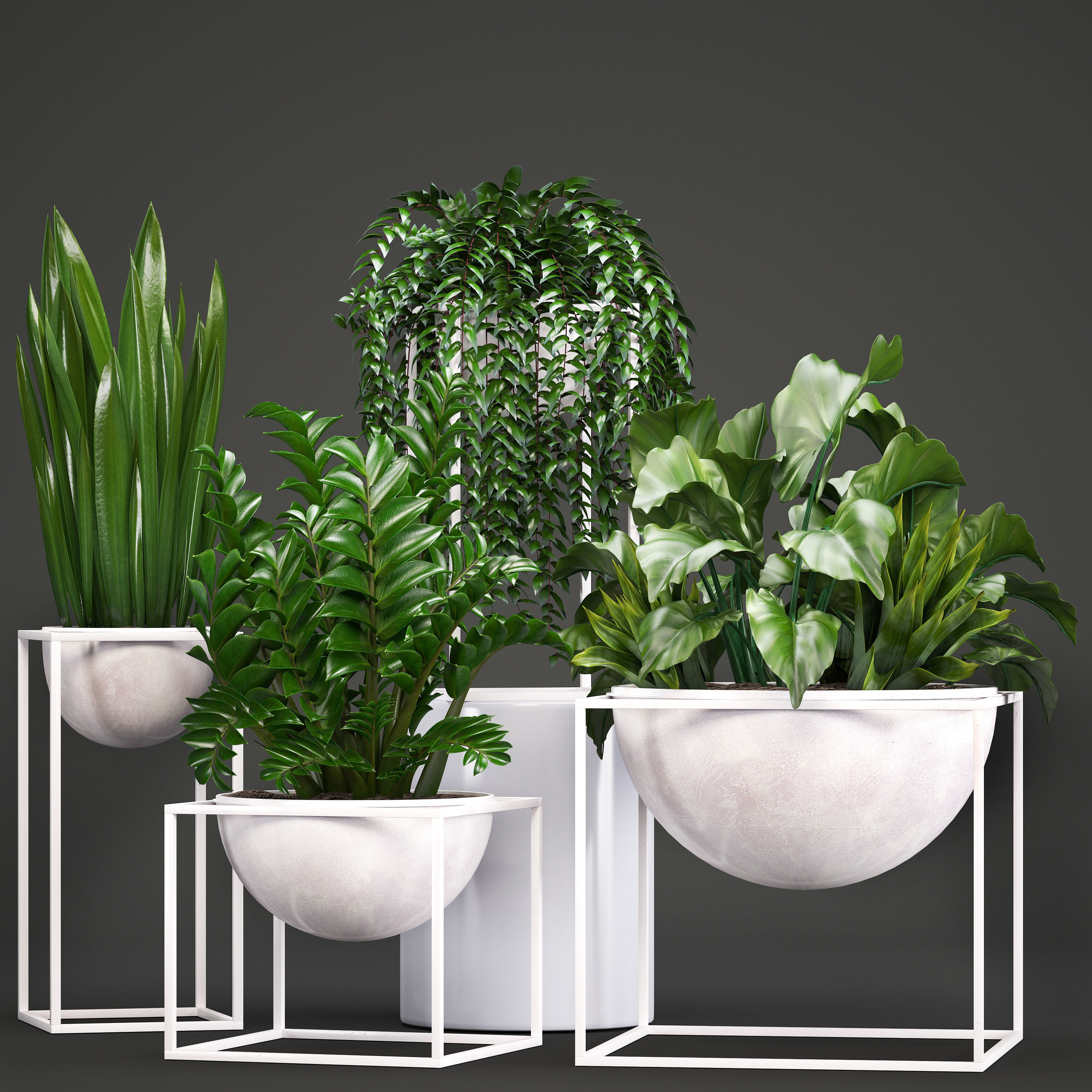 Collection Exotic plants 3D model_8