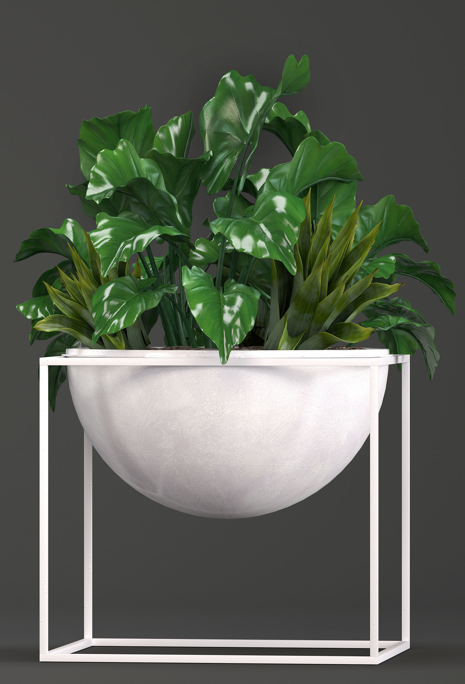 Collection Exotic plants 3D model_7