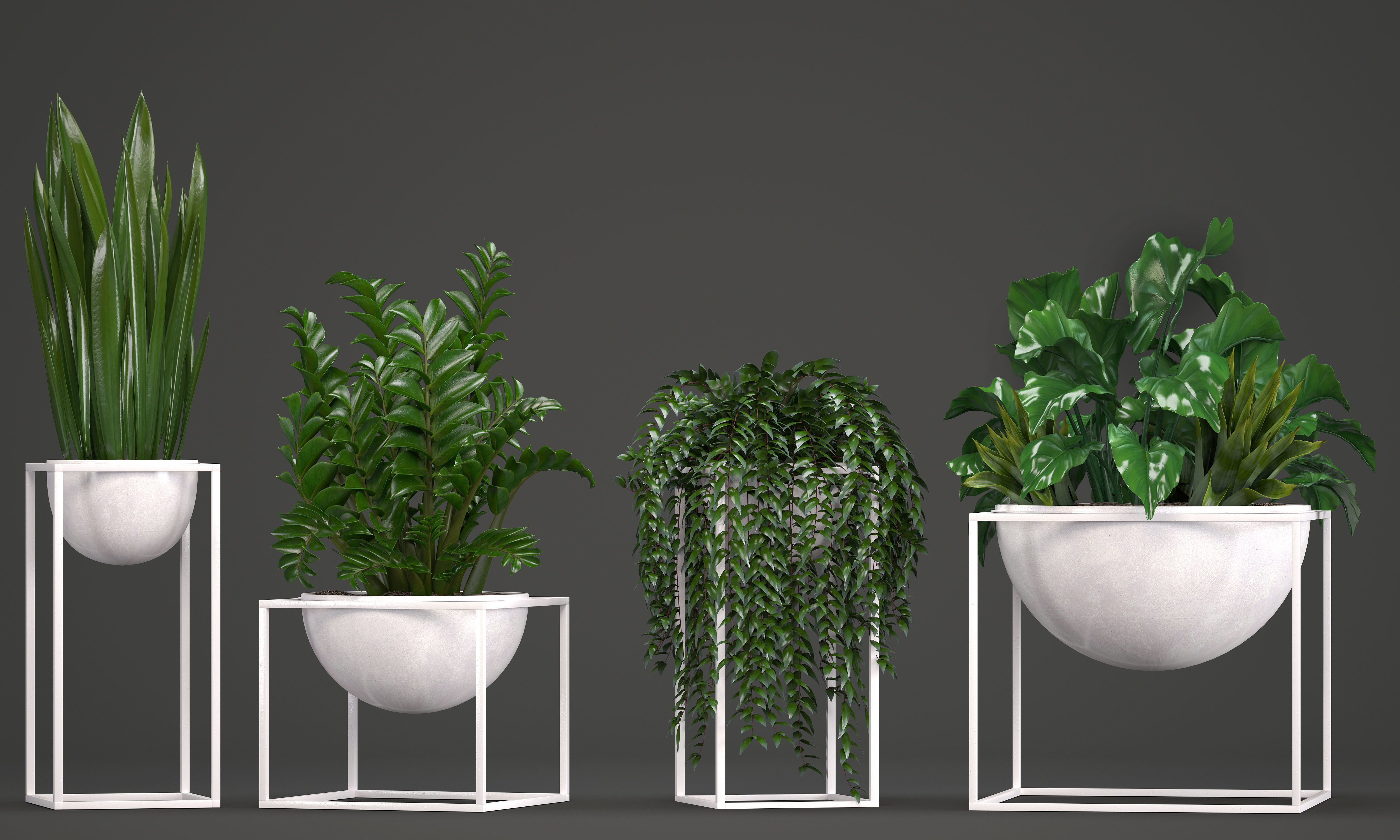 Collection Exotic plants 3D model_9