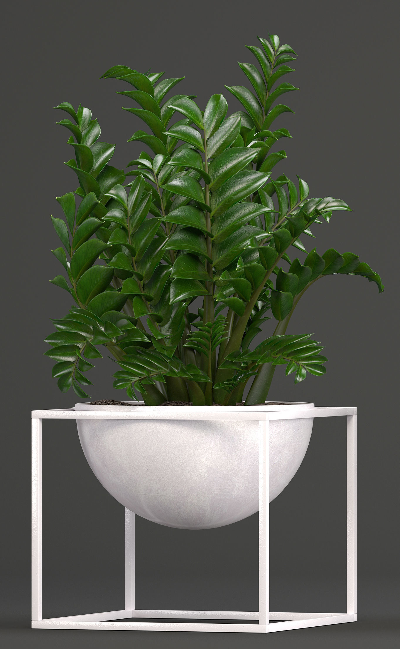 Collection Exotic plants 3D model_4