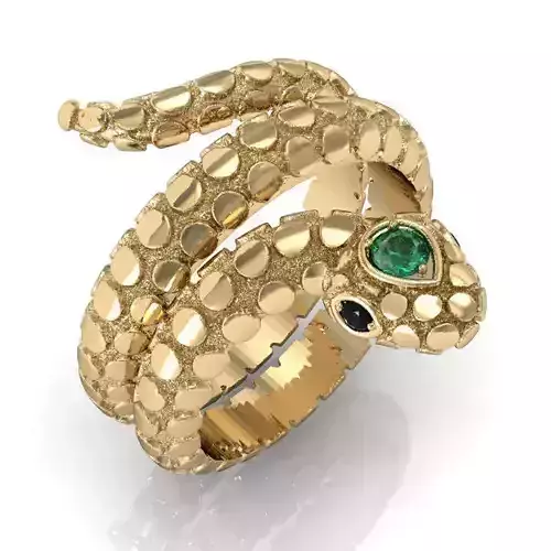 beautiful  ring snake