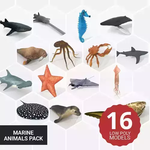16 Marine Animals Pack - Colletion Low-poly 3D model