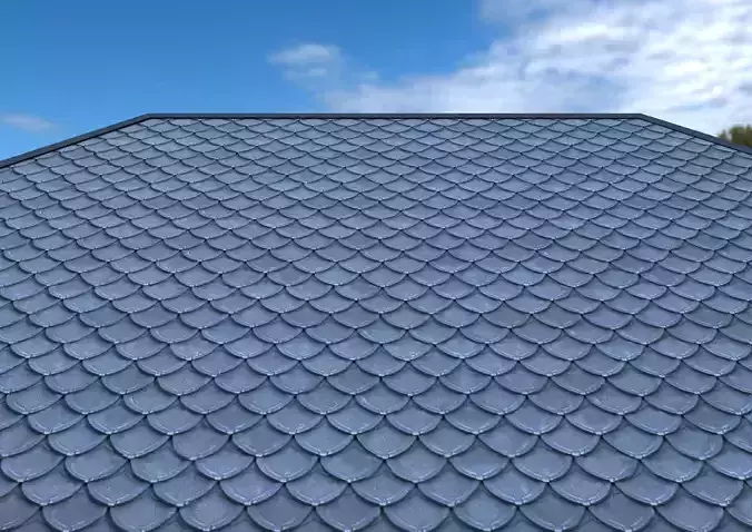  Roof  texture Texture