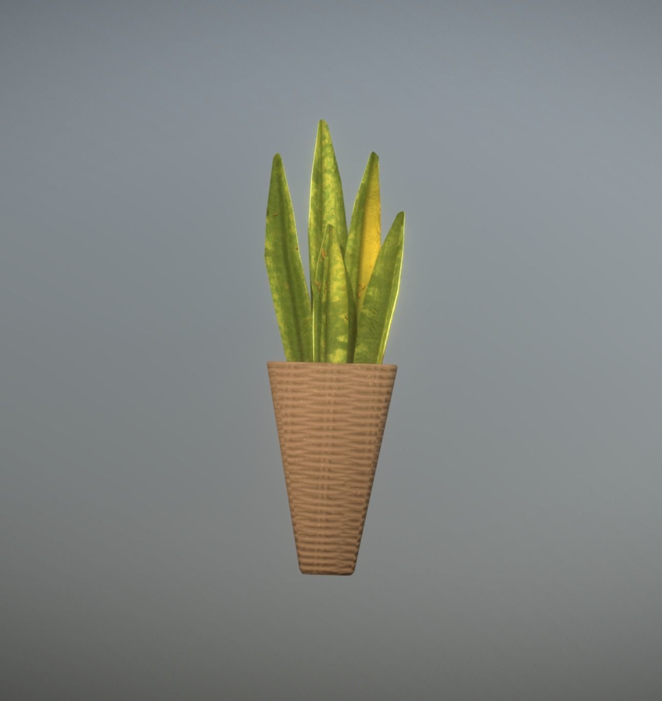 Houseplant with basket game ready and low poly Low-poly 3D model_2