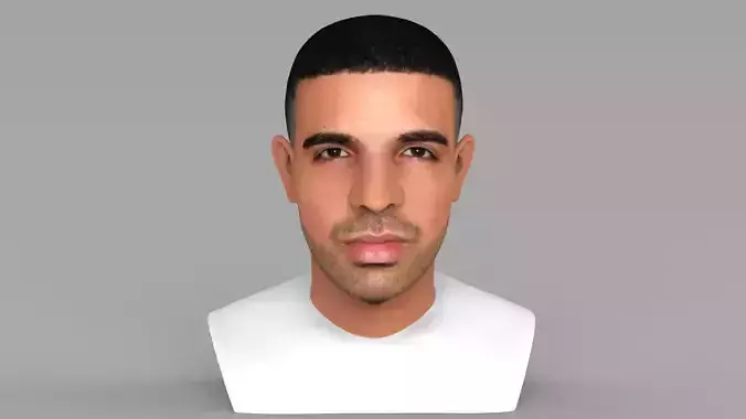 Drake bust ready for full color 3D printing 3D print model