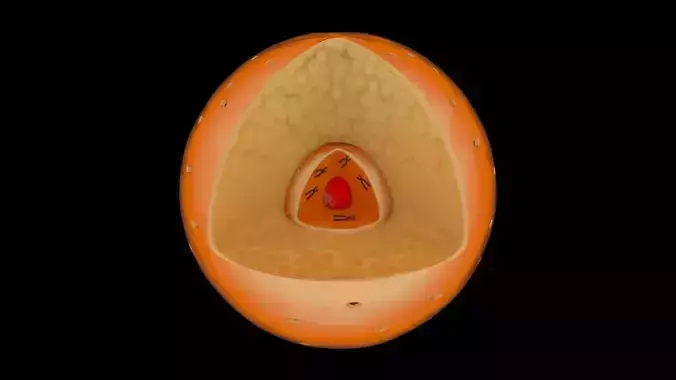 Cell Nucleus plus chromosome Free 3D model