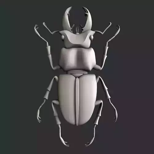 3d STL models for CNC bug