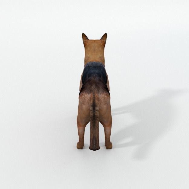 German Shepherd Low-poly 3D model_2