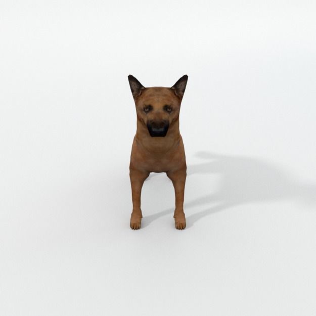 German Shepherd Low-poly 3D model_1