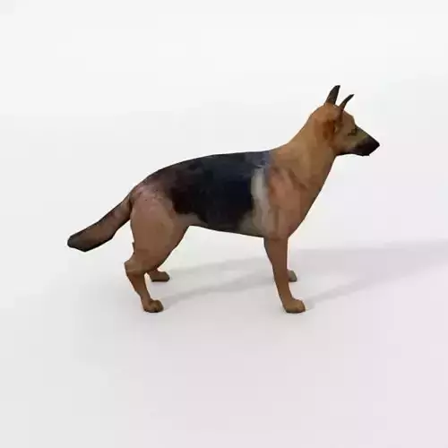 German Shepherd Low-poly 3D model