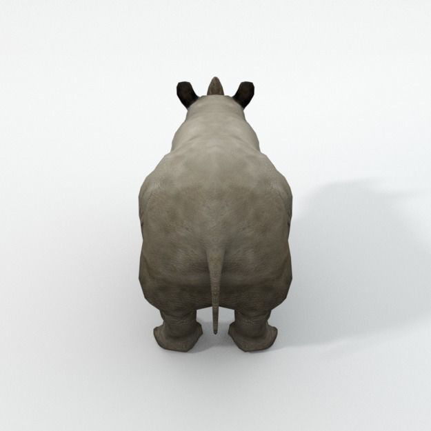 Rhino rhinoceros Low-poly 3D model_3