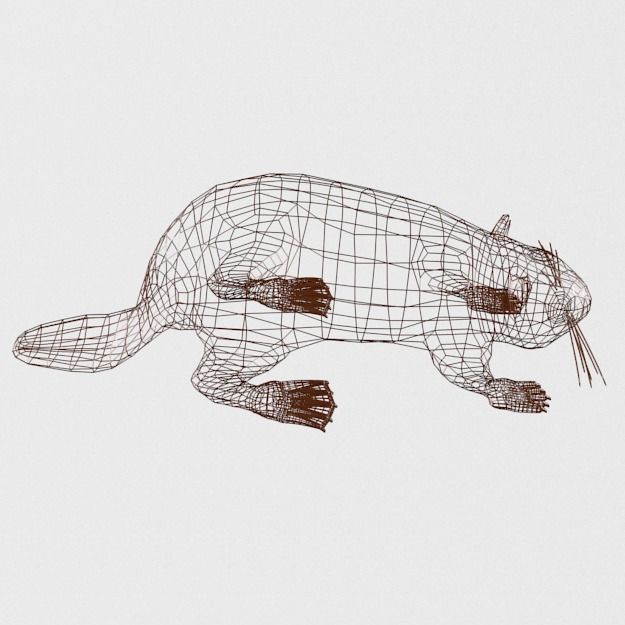 Beaver Low-poly 3D model_8