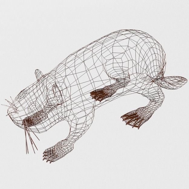 Beaver Low-poly 3D model_5