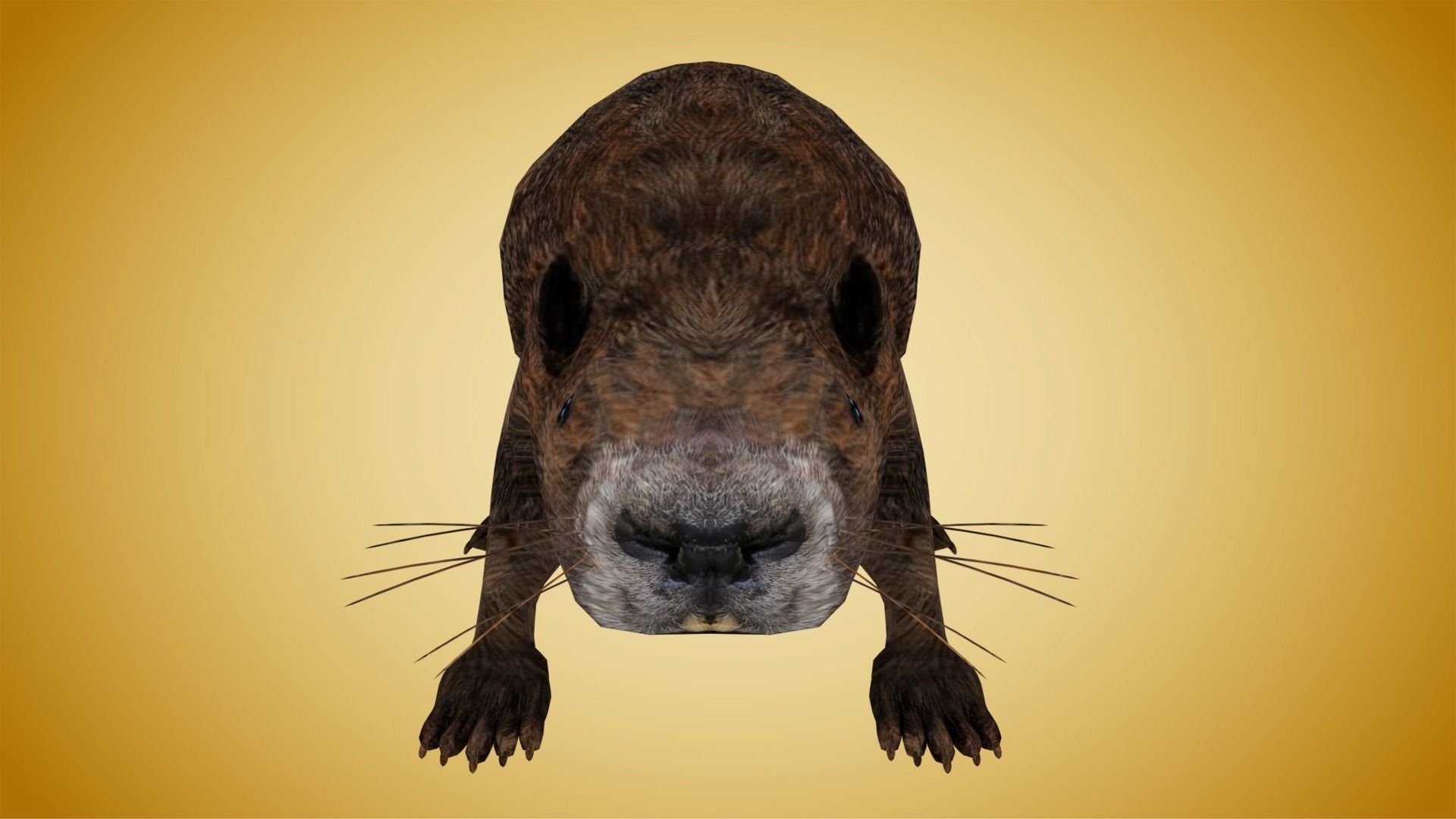 Beaver Low-poly 3D model_2