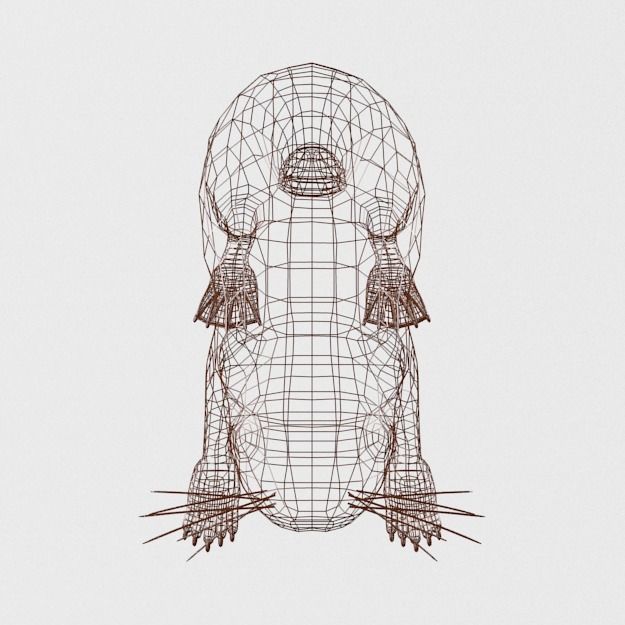 Beaver Low-poly 3D model_7