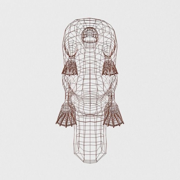 Platypus Low-poly 3D model_7