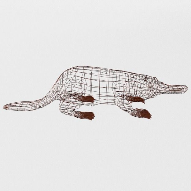 Platypus Low-poly 3D model_6