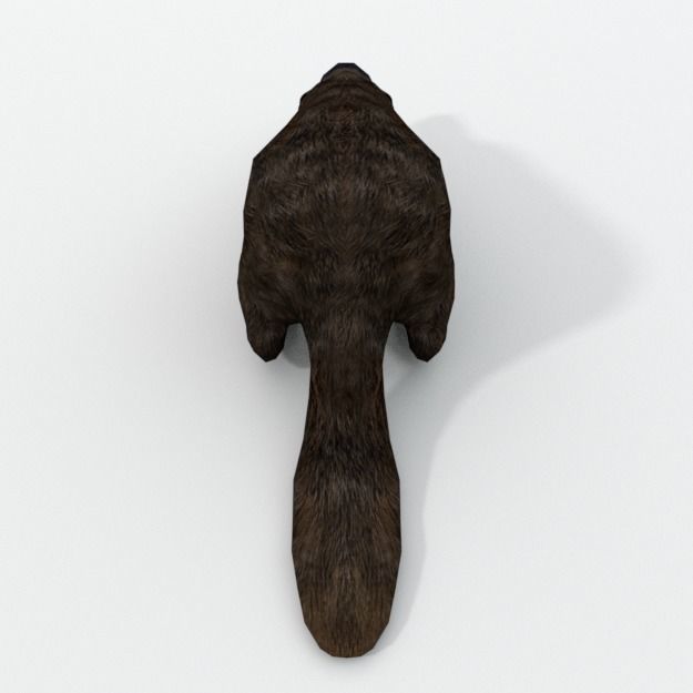 Platypus Low-poly 3D model_2