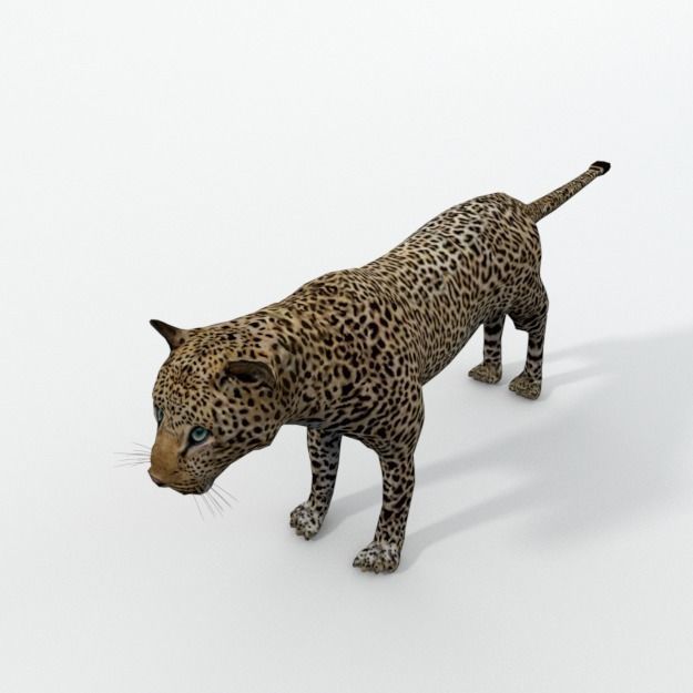Leopard Low-poly 3D model_1
