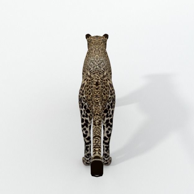 Leopard Low-poly 3D model_4